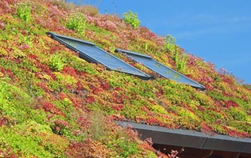 Sessay living roof systems